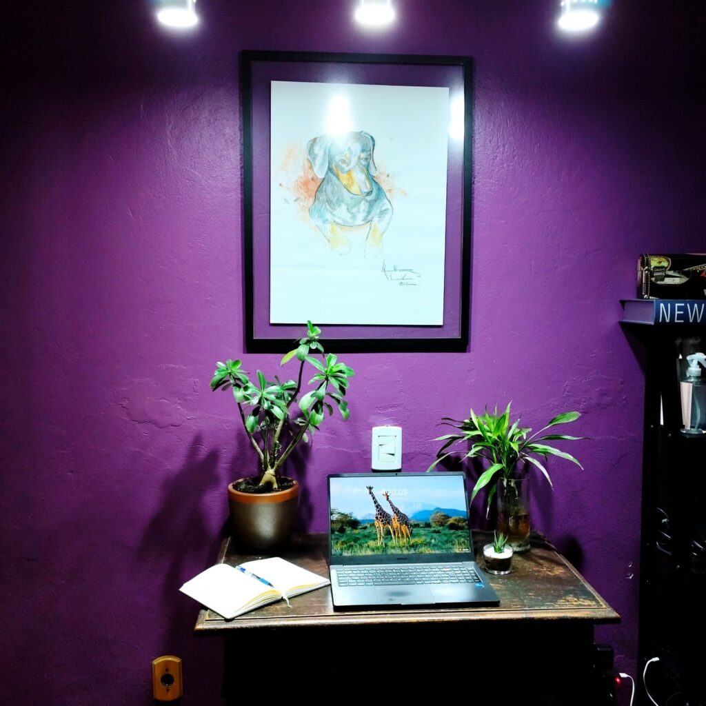 Uma mesa de madeira rústica com um notebook, ladeada por um bambu da sorte e uma suculenta. Ao fundo, uma parede lilás com um quadro de uma cachorrinha iluminado por pendentes