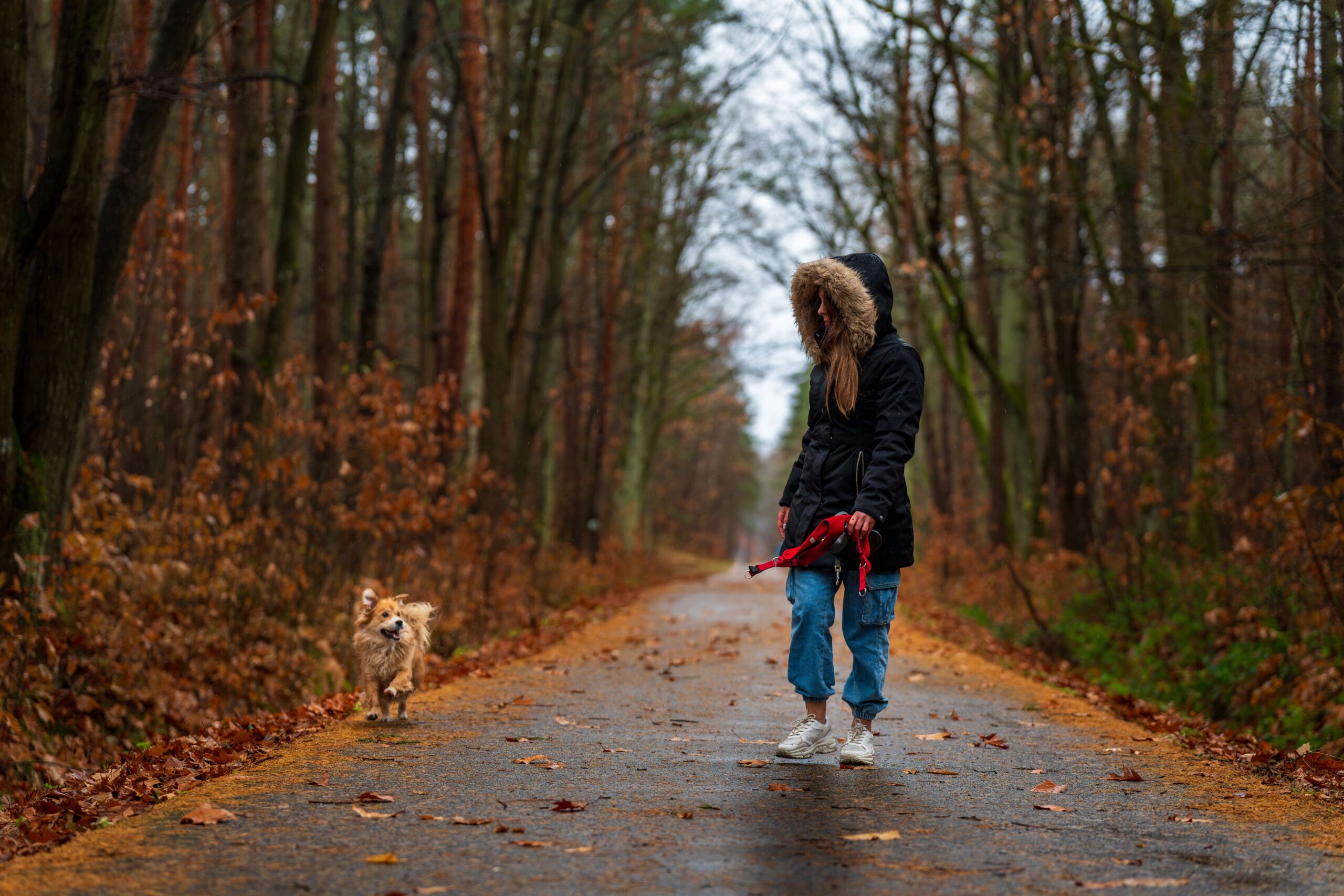 O verdadeiro equilíbrio: o que os cães nos ensinam sobre viver bem
