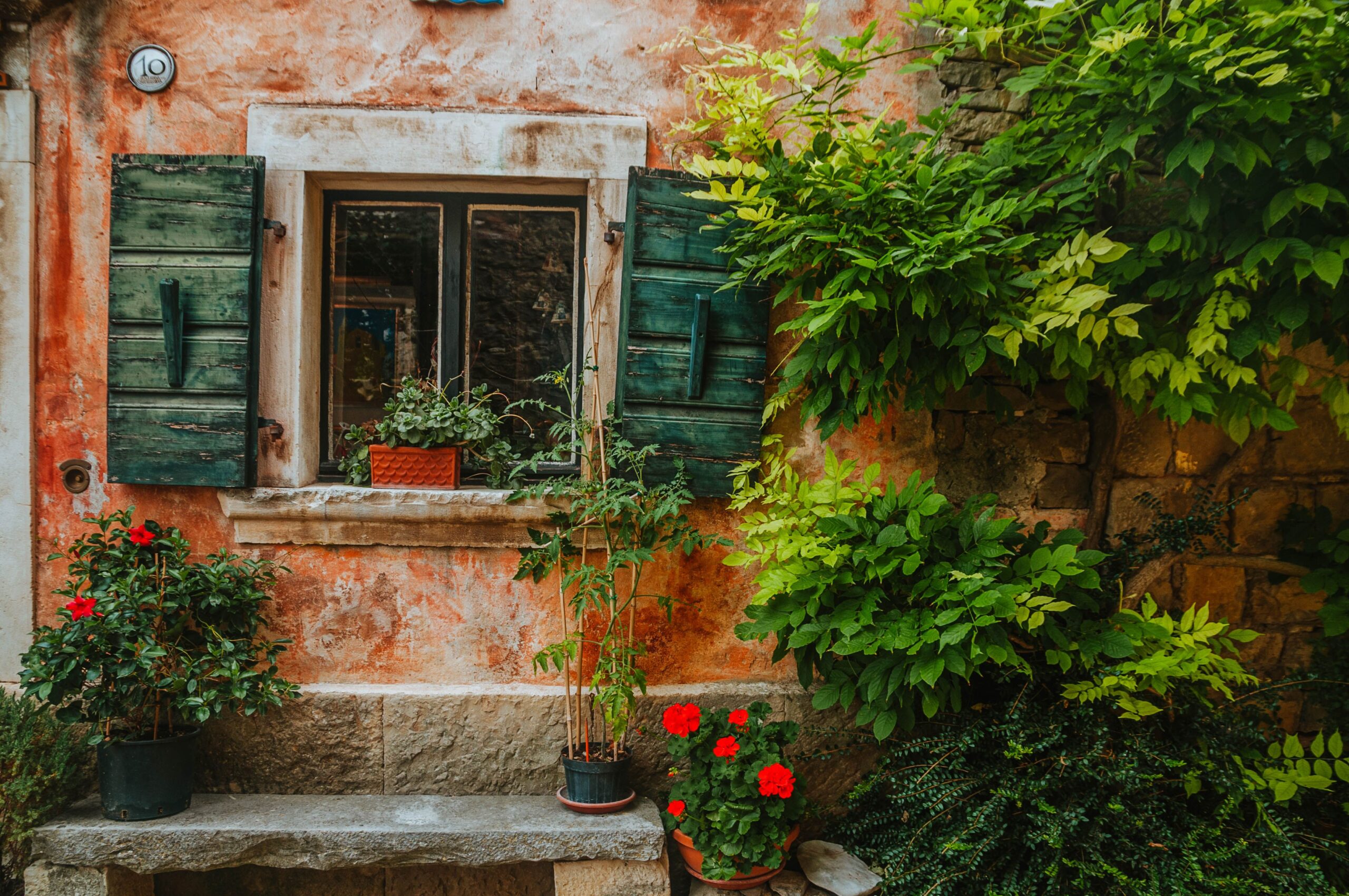Os perigos da faxina de primavera e a ilusão da casa perfeita